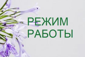Безымянный.jpg