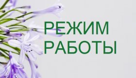 РЕЖИМ РАБОТЫ В ПРАЗДНИЧНЫЕ ДНИ